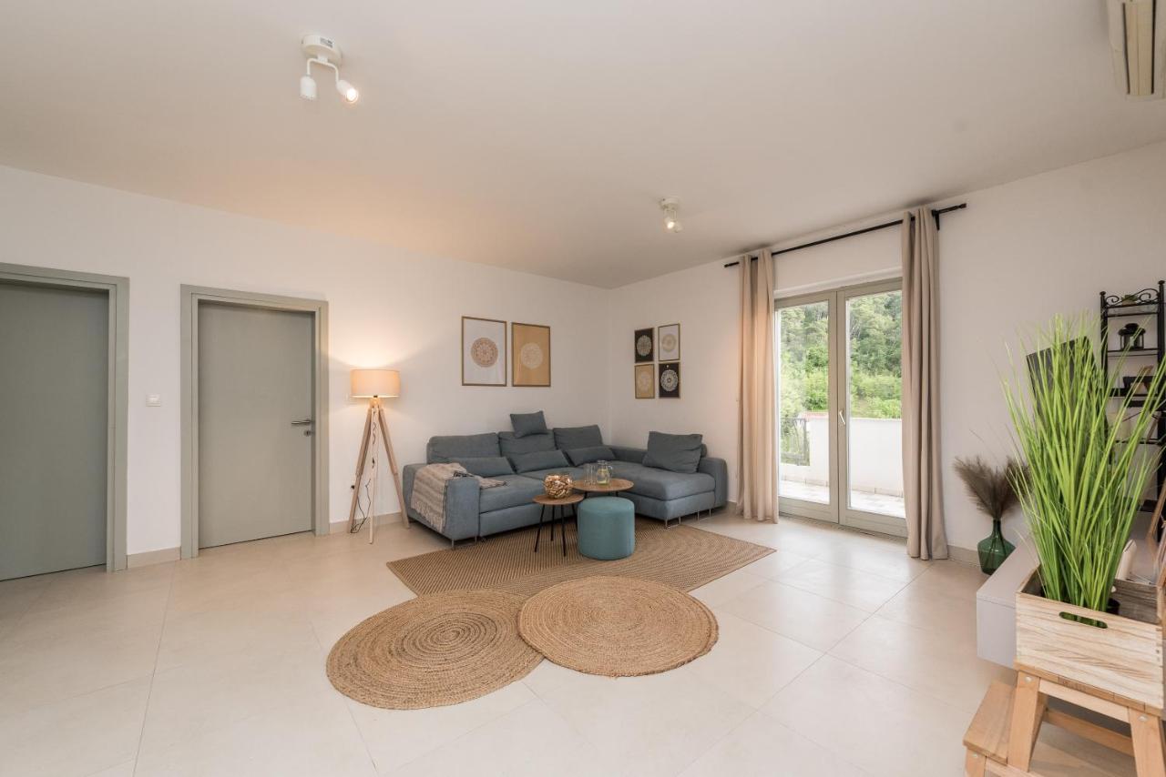 Villa Calendula Novigrad  Exteriér fotografie