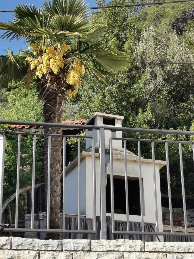 Villa Calendula Novigrad  Exteriér fotografie
