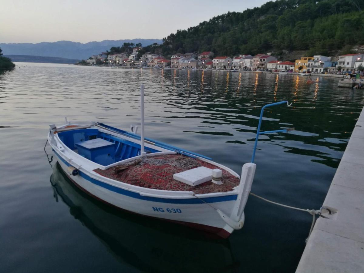 Villa Calendula Novigrad  Exteriér fotografie